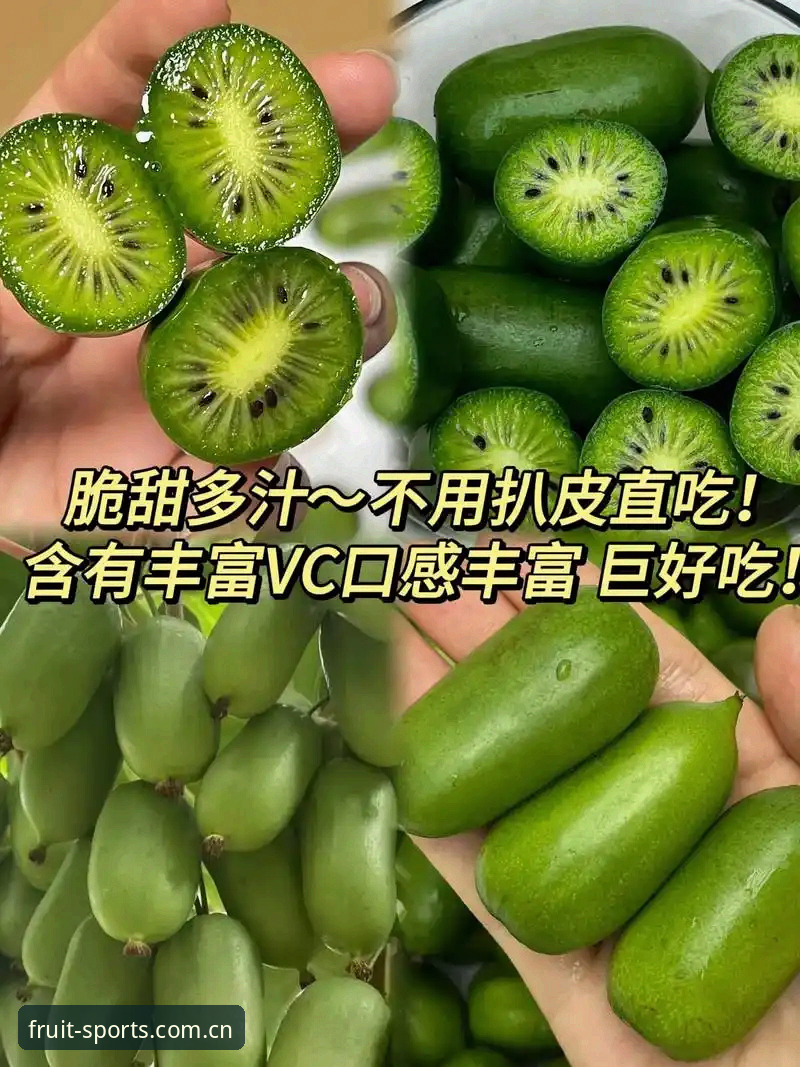 奇异果体育免费直播 揭秘奇异果体育免费直播的隐藏玩法——你不知道的赛事观看新体验